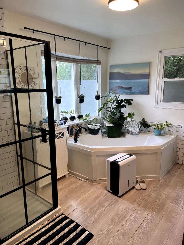 A bright, plant-filled master bathroom renovation featuring a modern black-framed glass shower and custom soaker tub installation—designed for relaxation and daily function.