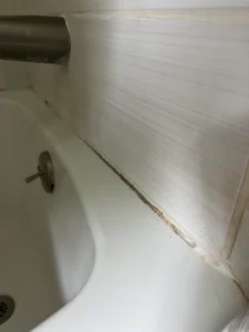 Bathroom grout with visible mold growth due to excess moisture